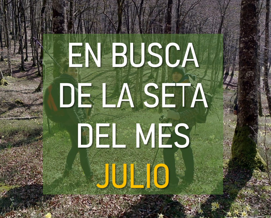 NOTICIA_JULIO.png