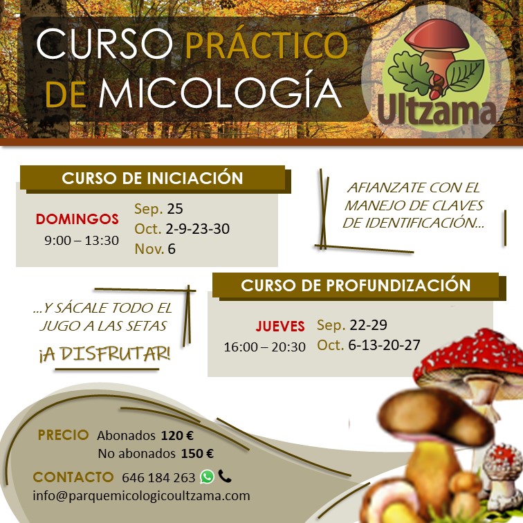 CARTEL CURSO PRÁCTICO MICOLOGIA 2022.jpg