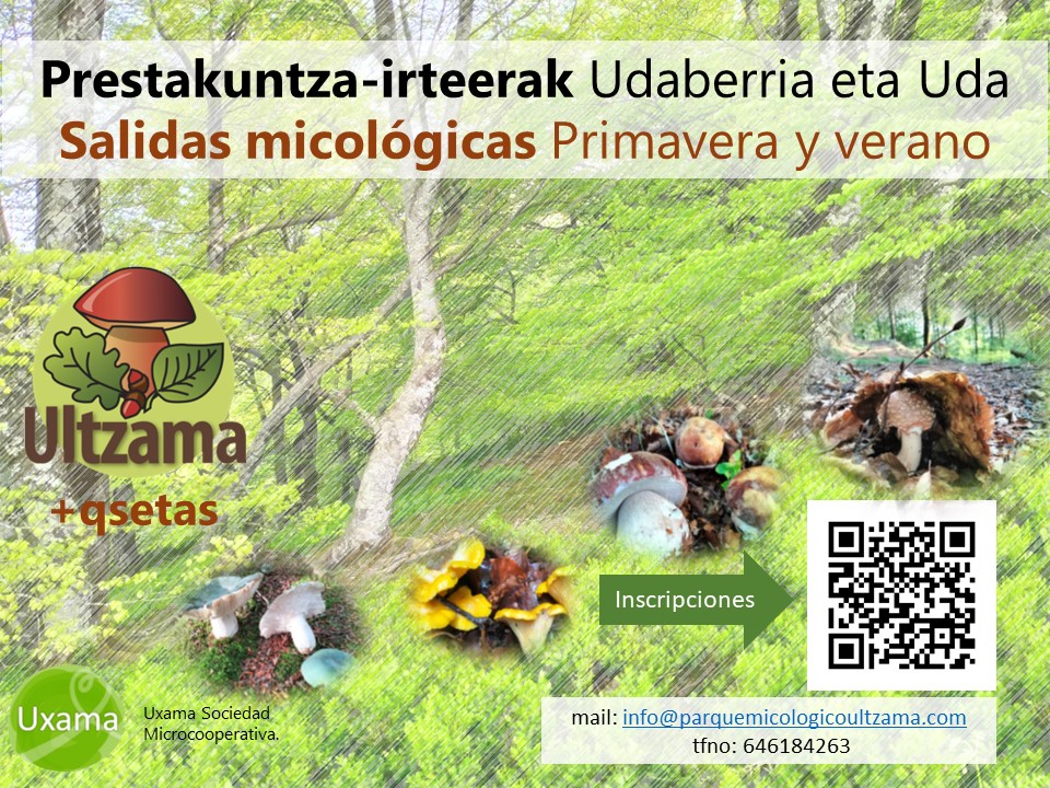 Cartel salidas primavera.jpg