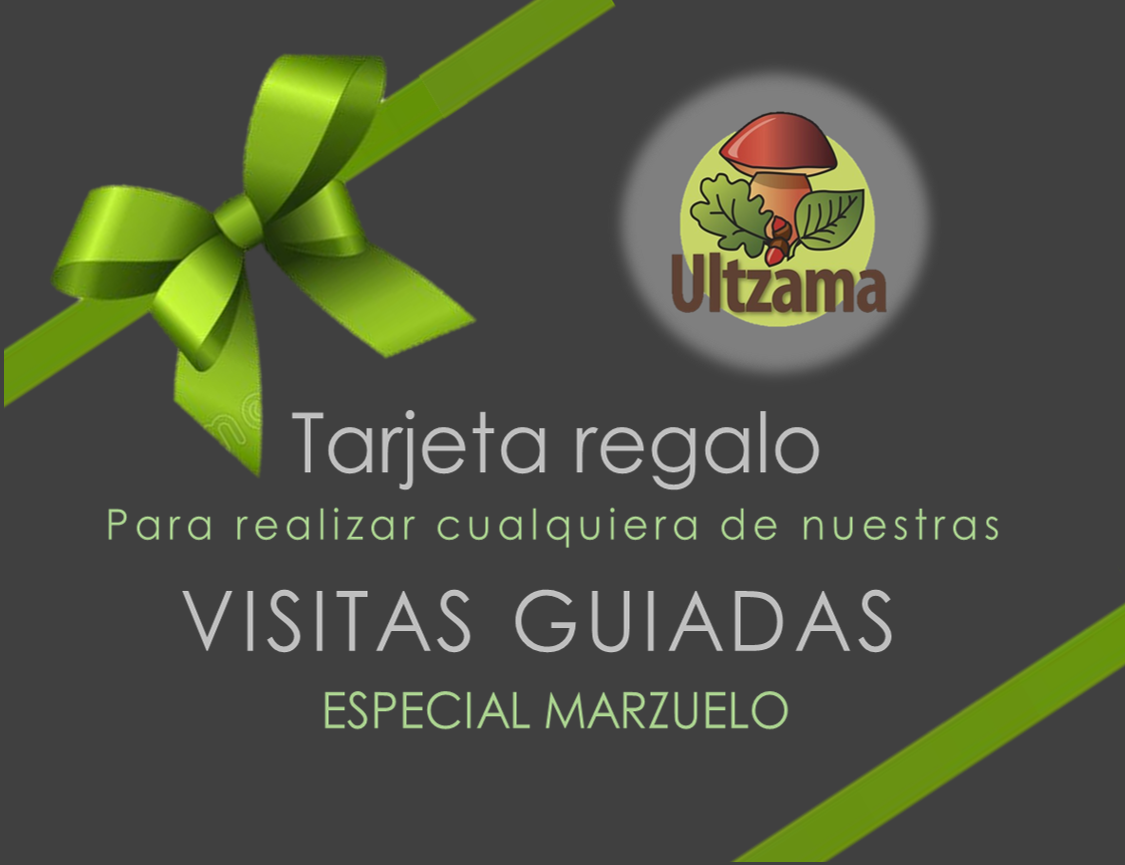 imagen tarjeta regalo web.png