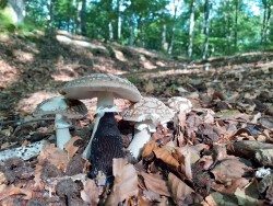 WhatsApp Image 2021-06-21 at 09.12.25 (1).jpeg