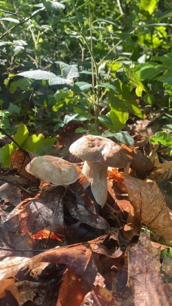 2021-06-05 ALICIA_GUTIERREZ.jpeg