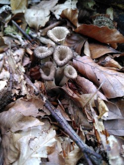 WhatsApp Image 2021-07-10 at 10.48.57.jpeg