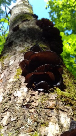 2021-06-05 ALICIA_GUTIERREZ (4).jpeg