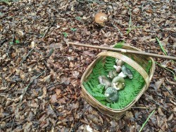 IOSU APALATEGI 2021-06-22 at 21.07.08.jpeg