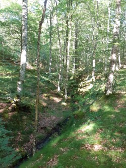 WhatsApp Image 2021-06-21 at 09.12.29.jpeg