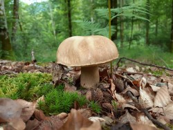 WhatsApp Image 2021-06-21 at 09.12.31 (3).jpeg