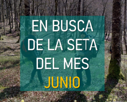 imagen noticia 2.png