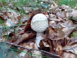 WhatsApp Image 2021-06-21 at 09.12.22.jpeg