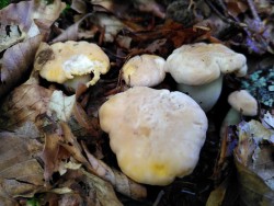 WhatsApp Image 2021-06-25 at 18.22.43.jpeg