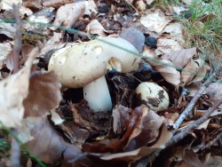 WhatsApp Image 2021-06-21 at 09.12.23.jpeg