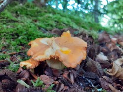 WhatsApp Image 2021-06-21 at 09.12.32.jpeg