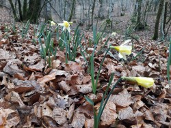 WhatsApp Image 2022-02-18 at 09.51.51 (1).jpeg