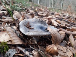 WhatsApp Image 2022-03-17 at 12.25.21 PM (2).jpeg