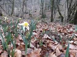 WhatsApp Image 2022-02-18 at 09.51.51.jpeg