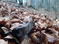 WhatsApp Image 2022-02-18 at 09.51.49.jpeg