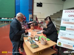 Punto de informacion.jpeg