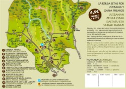 B_TRIPTICO DIA DEL HONGO 2023.jpg