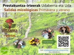 Cartel salidas primavera.jpg