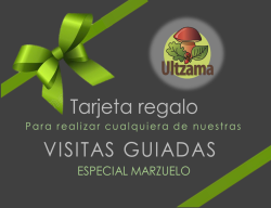 imagen tarjeta regalo web.png