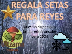 Regala setas 2024.jpg